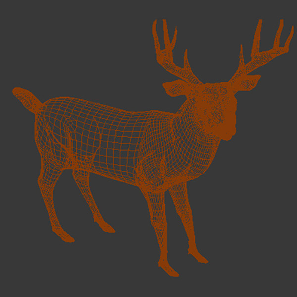 3ds max whitetail deer walkcycle - White-tailed deer walkcycle by gauthier12